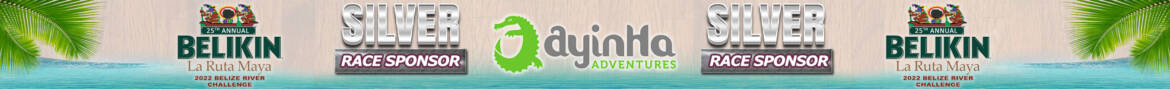 Ayinha-Silver-Sponsers-Banner.jpg